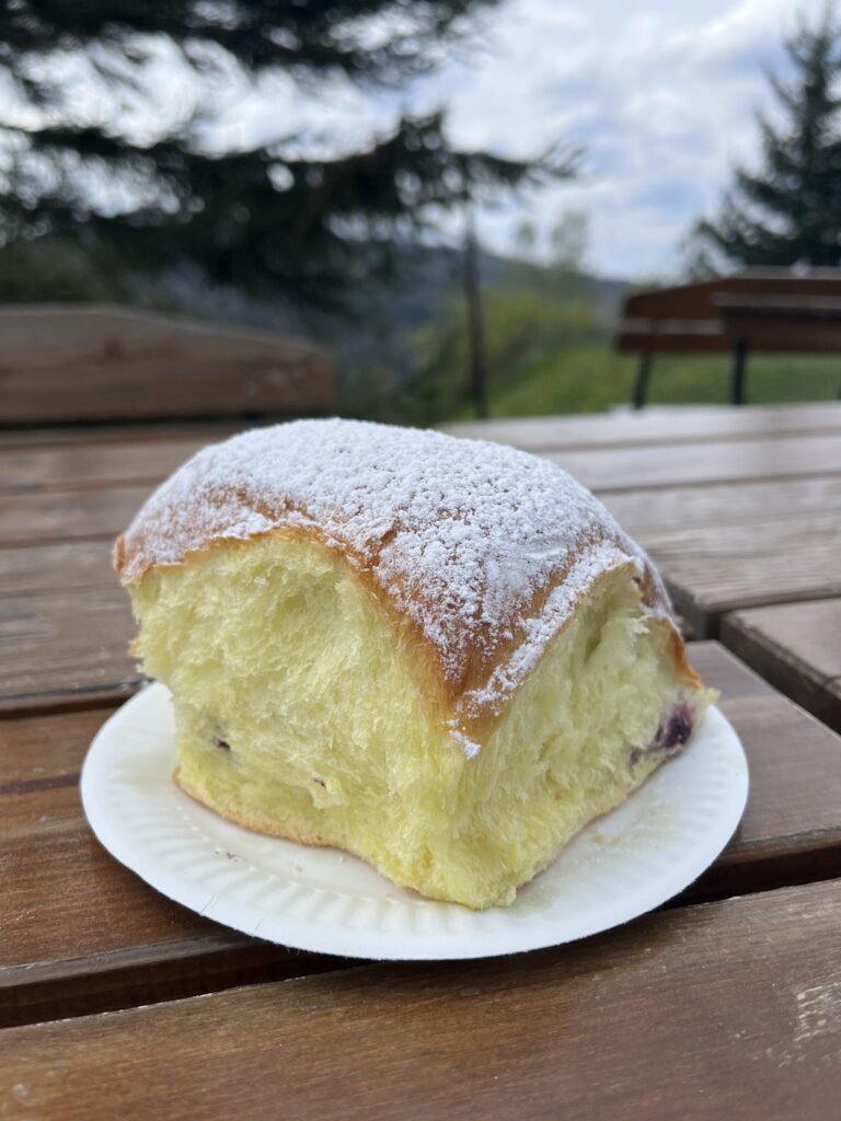 jagodzianka na hali boraczej